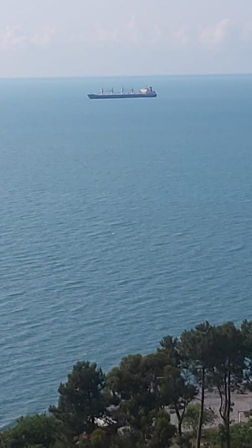 Жемчужина У Моря バトゥーミ エクステリア 写真